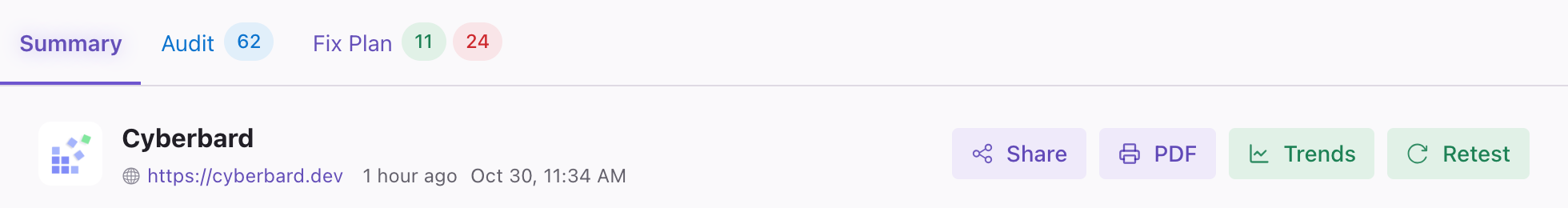 The three report tabs: Summary, Audit with its score, and Fix Plan with its two issue counts